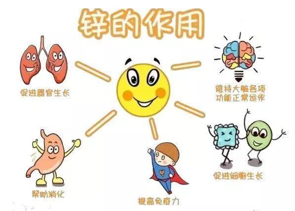 全自动微量元分析仪|科学指导儿童微量元素摄入